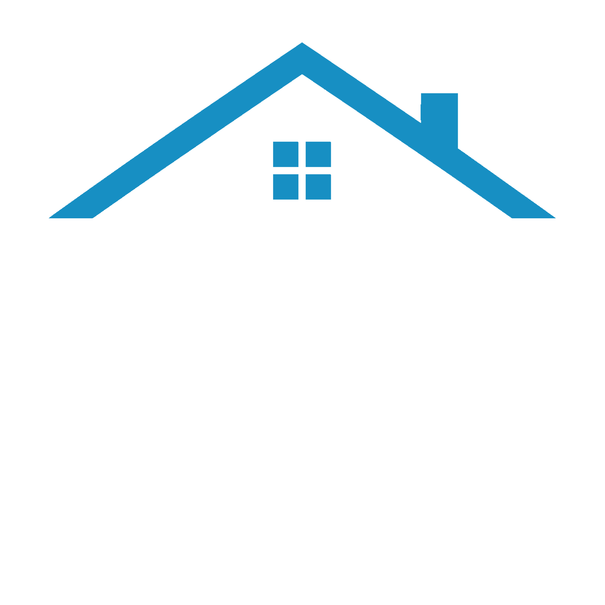 DSP Building Inspections